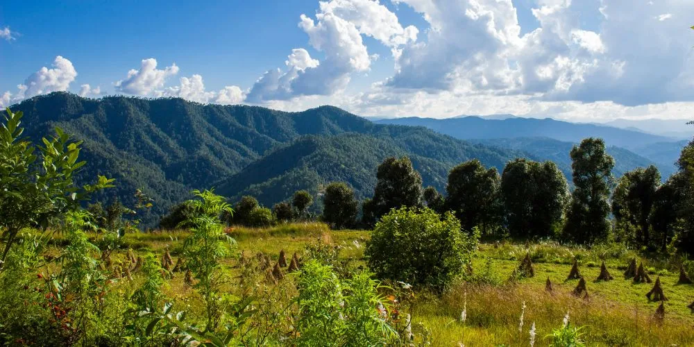 Binsar amongst the best places to visit in Almora