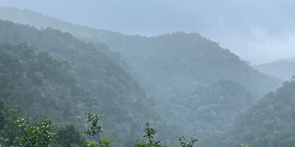 View from Bee Falls, Pachmarhi