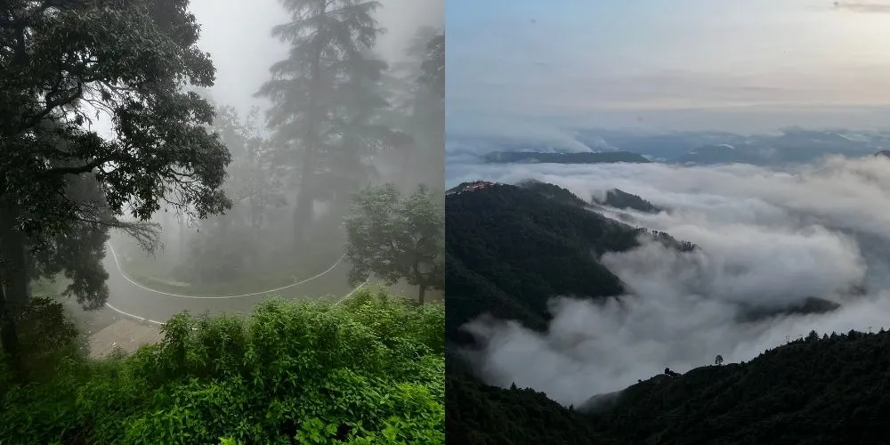 Monsoon Tranquil in Chakrata