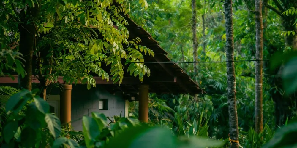 Coorg