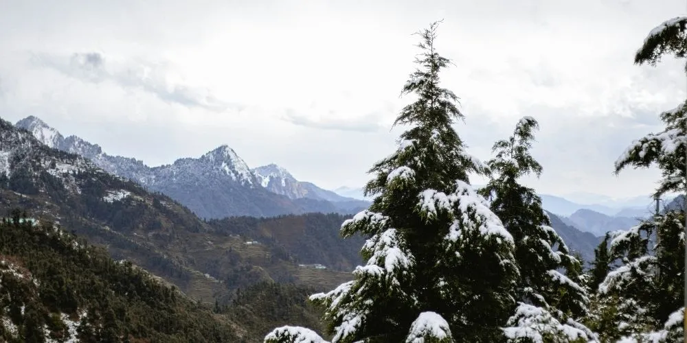 Dhanaulti