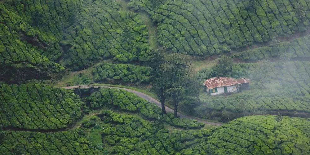 Munnar