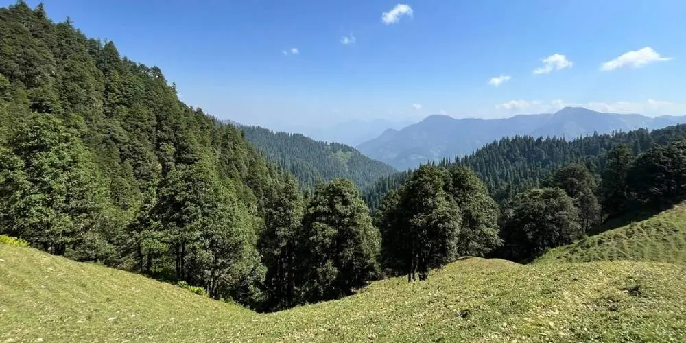 Jibhi