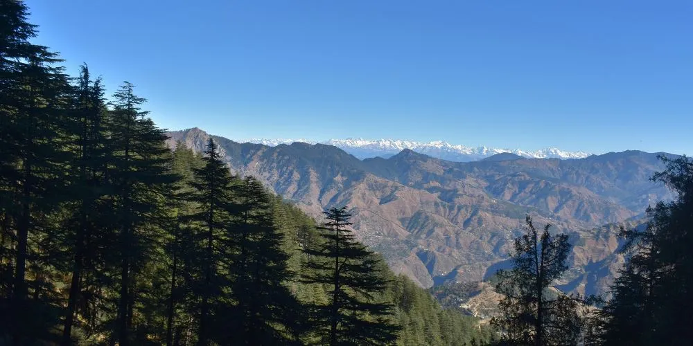 Snow Peaks from Kufri
