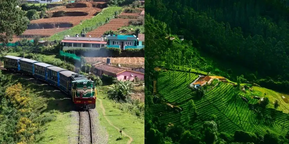 ऊटी: दक्षिण भारत की पहाड़ों की रानी