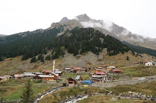 Shoja Village