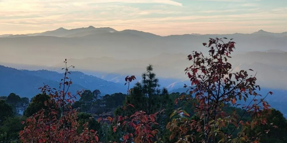 Ranikhet