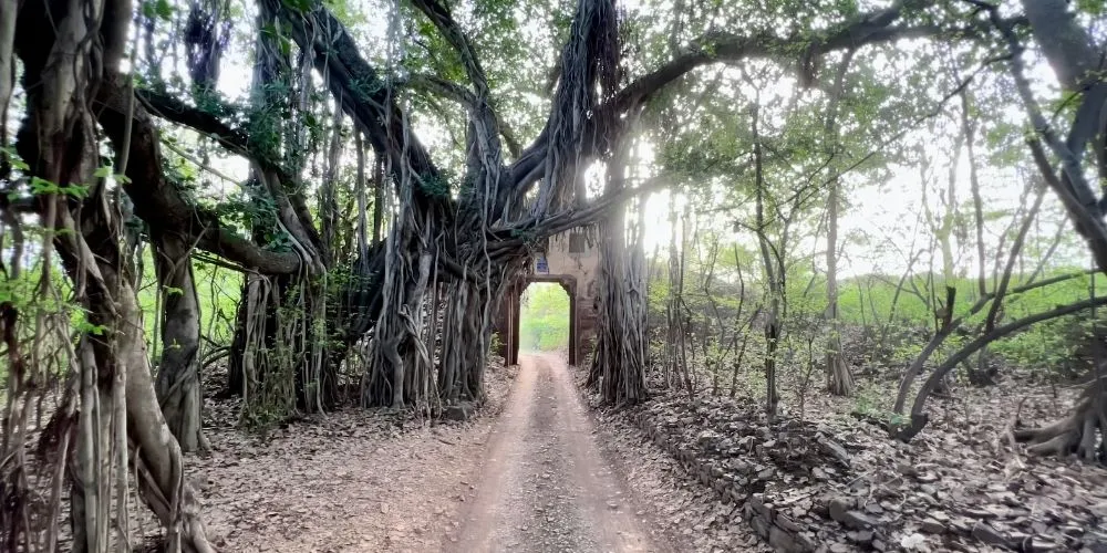 Ranthambore National Park