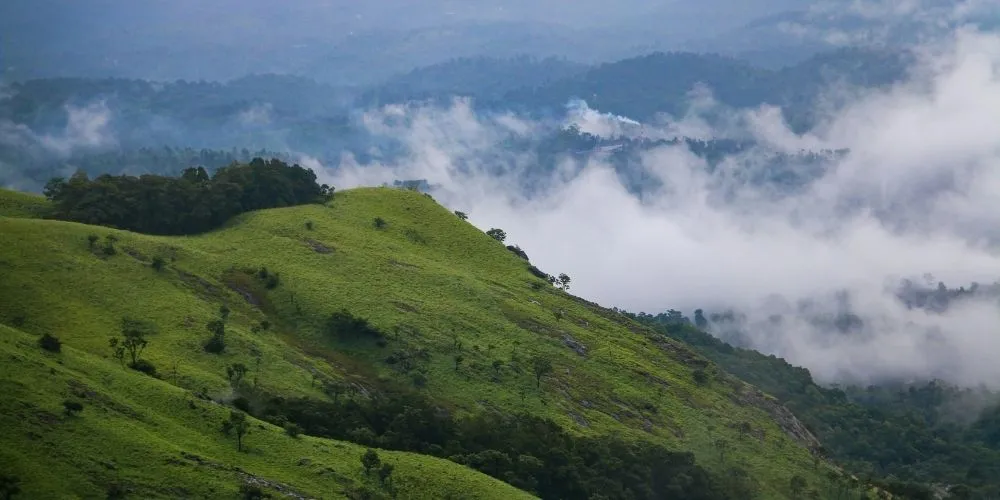 Wayanad