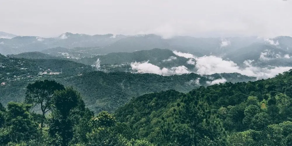 Kasauli