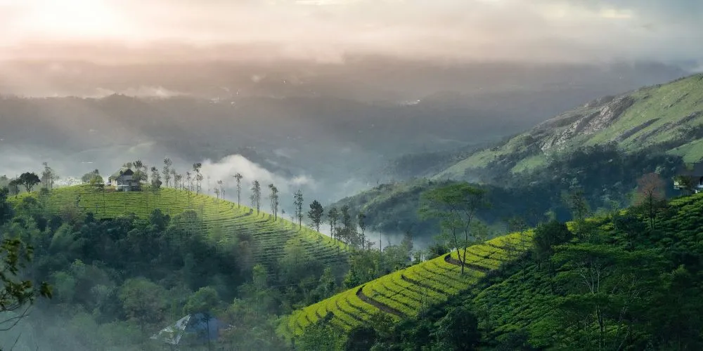 मुन्‍नार