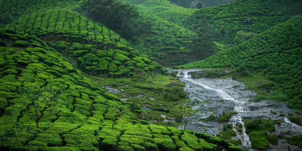Munnar
