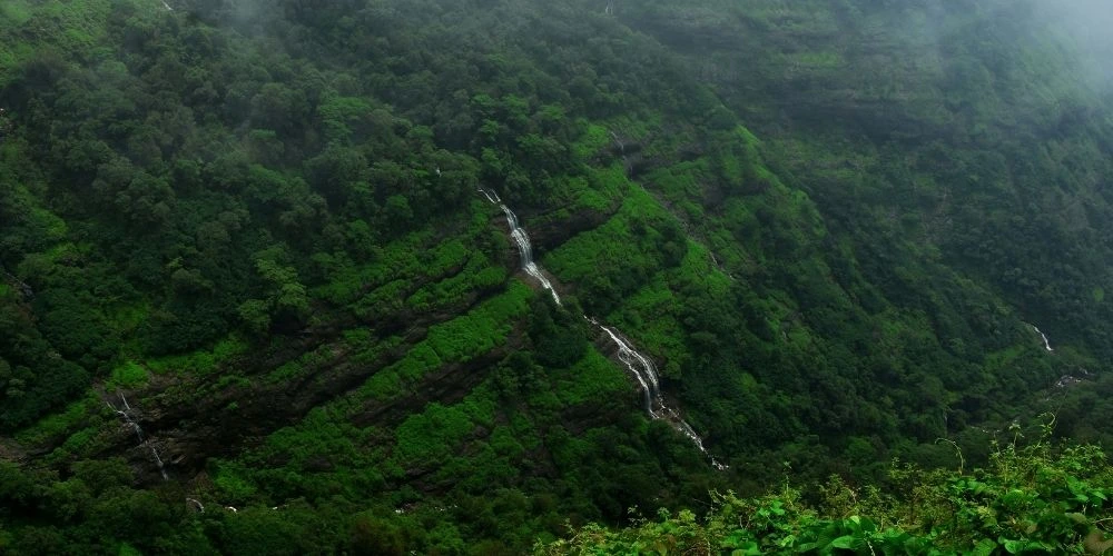 माथेरान: जहां गाड़ियों की नहीं, प्रकृति की आवाज़ सुनाई देती है