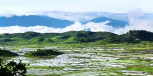 जीरो वैली