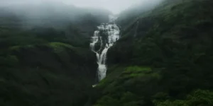 भंडारदरा