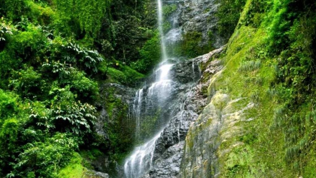 Chadwick Falls