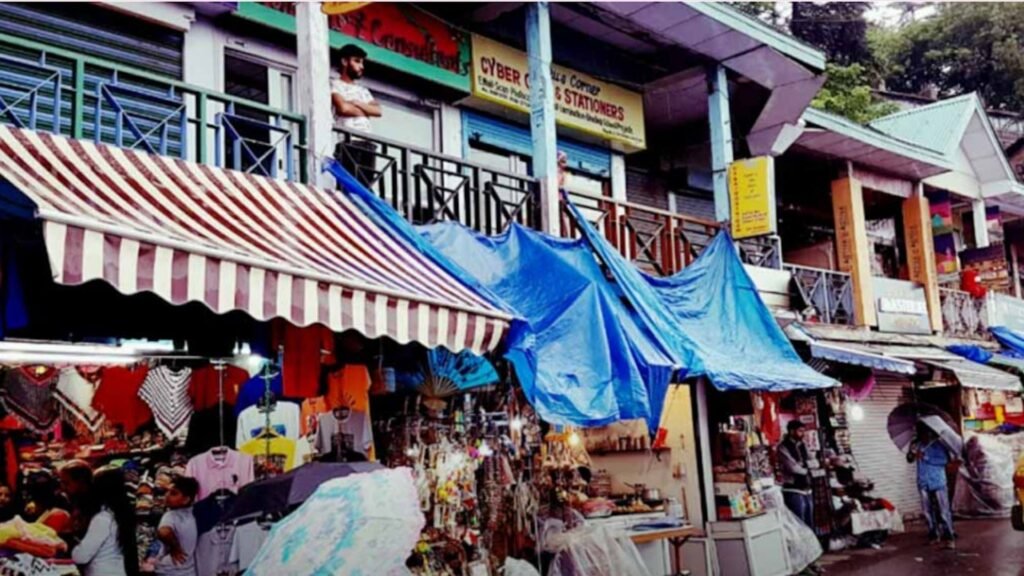 Shopping at Lakkar Bazaar