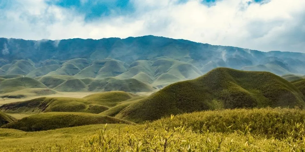 Dzukou Valley Viswema