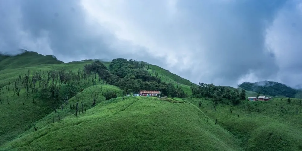 Dzukou Valley Viswema
