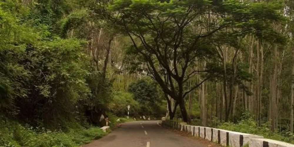 येलागिरी हिल स्टेशन: कम बजट में शानदार वीकेंड ट्रिप का बेस्ट ऑप्शन