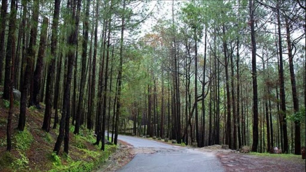 Delhi to Lansdowne