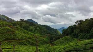 Munnar, Kerala