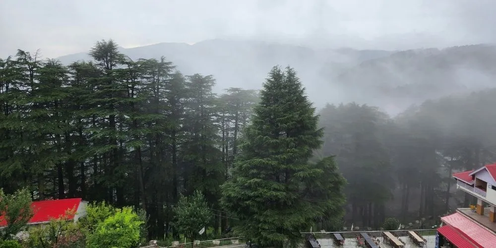 Patnitop