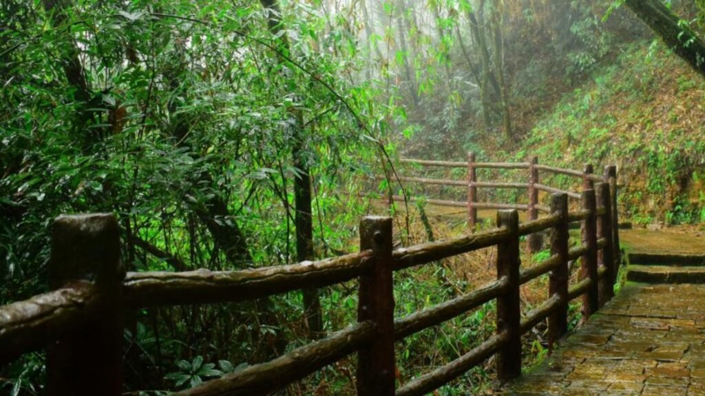 Shillong, Meghalaya