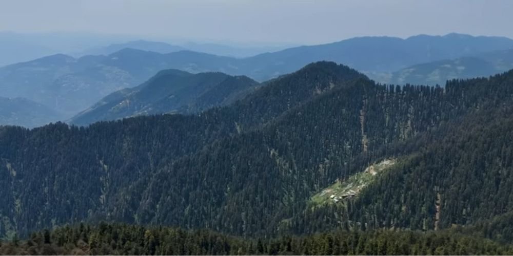 Himalayan View