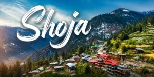 Shoja