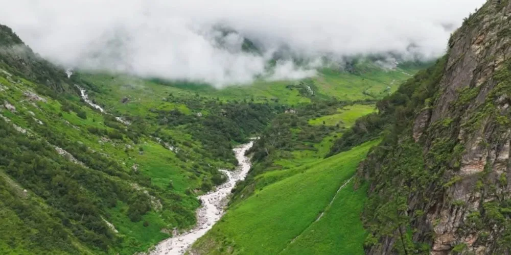 Valley of Flowers