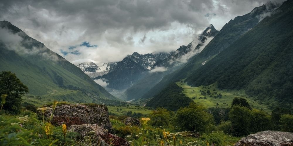 Valley of Flowers