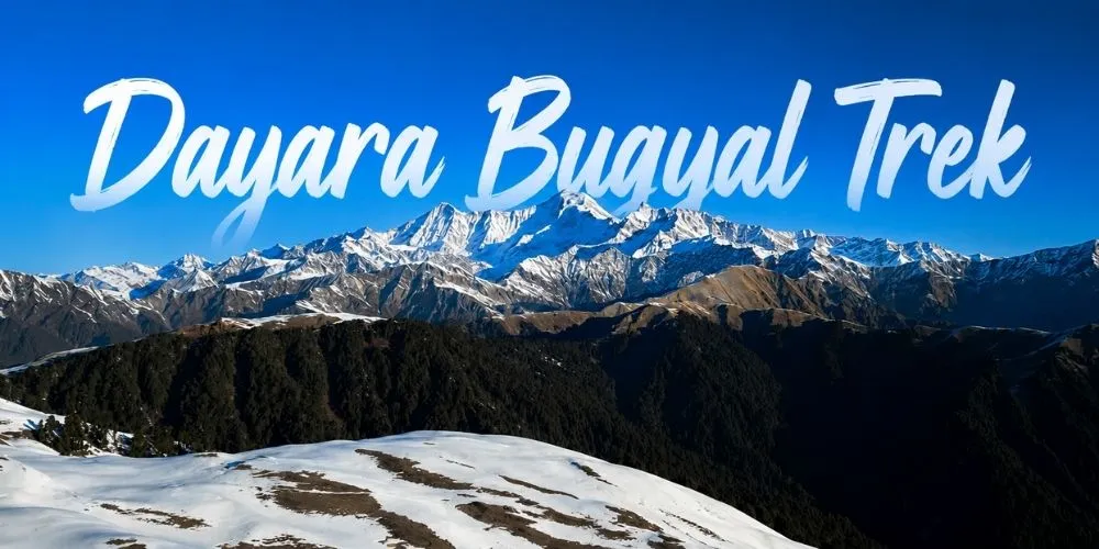 Dayara Bugyal Trek: The Beginner-Friendly Himalayan Meadow Paradise