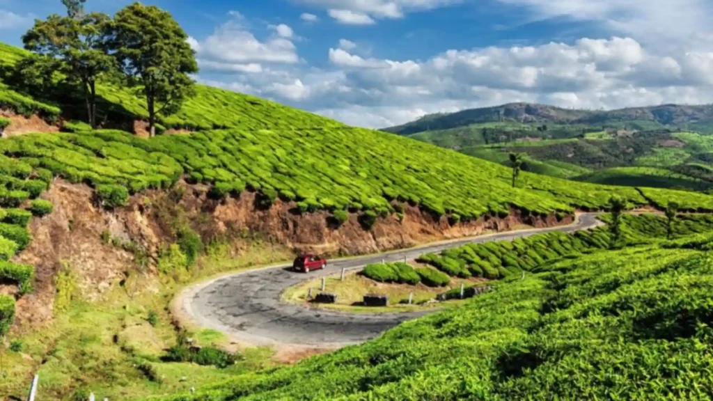 Munnar, Kerala