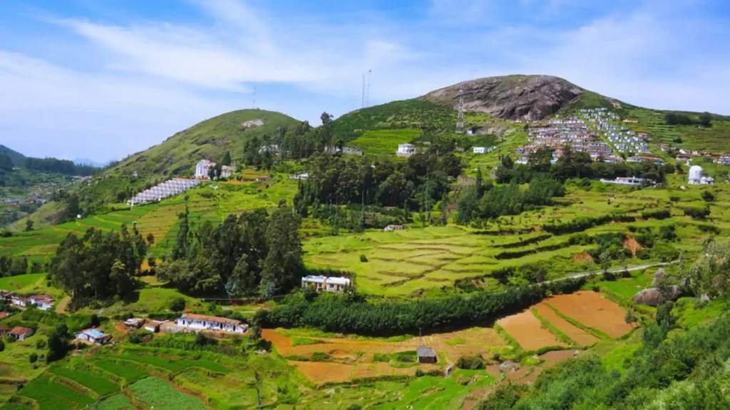 Ooty, Tamil Nadu