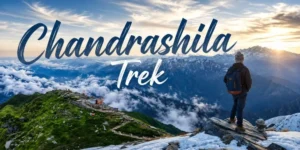 Chandrashila Trek