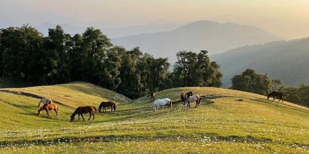 Nag Tibba