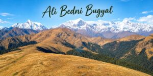 Ali Bedni Bugyal Trek: Walking Through Uttarakhand’s Grand Alpine Meadows
